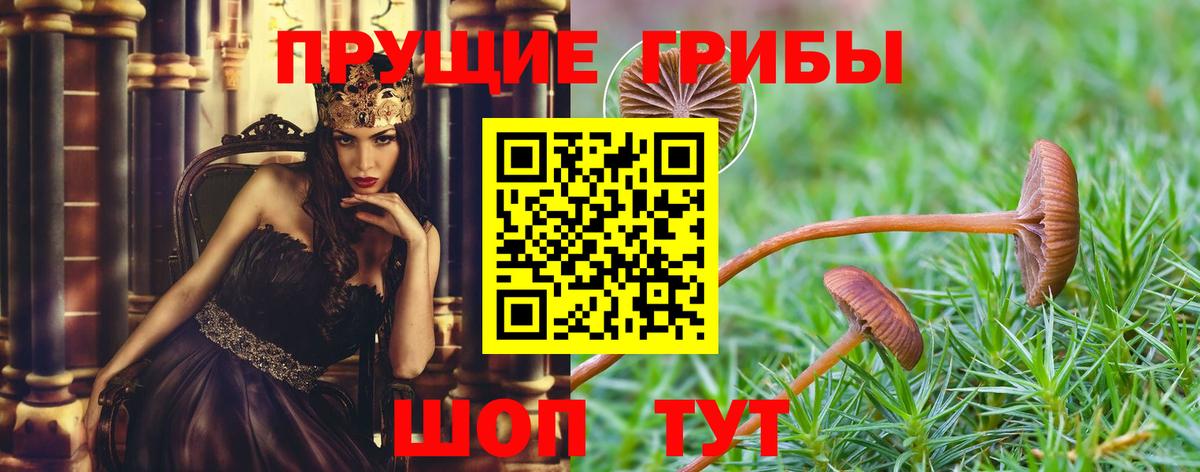 Калач-на-Дону  наркота  Вход с VPN  Псилоцибиновые грибы мицелий 